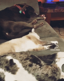 Размахались, не поспишь