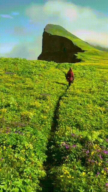 Идеальная картина