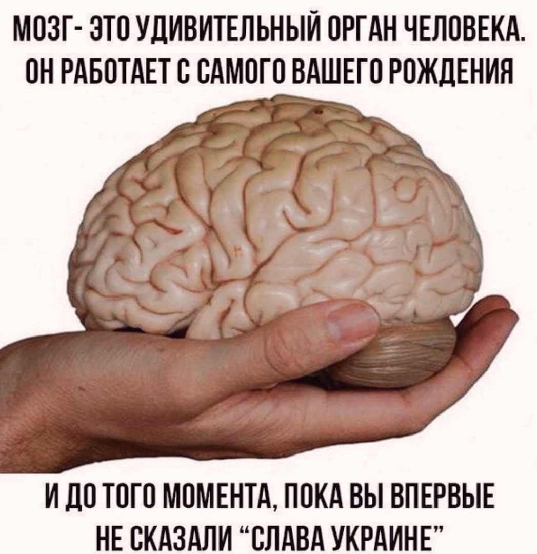 Анекдот про мозги