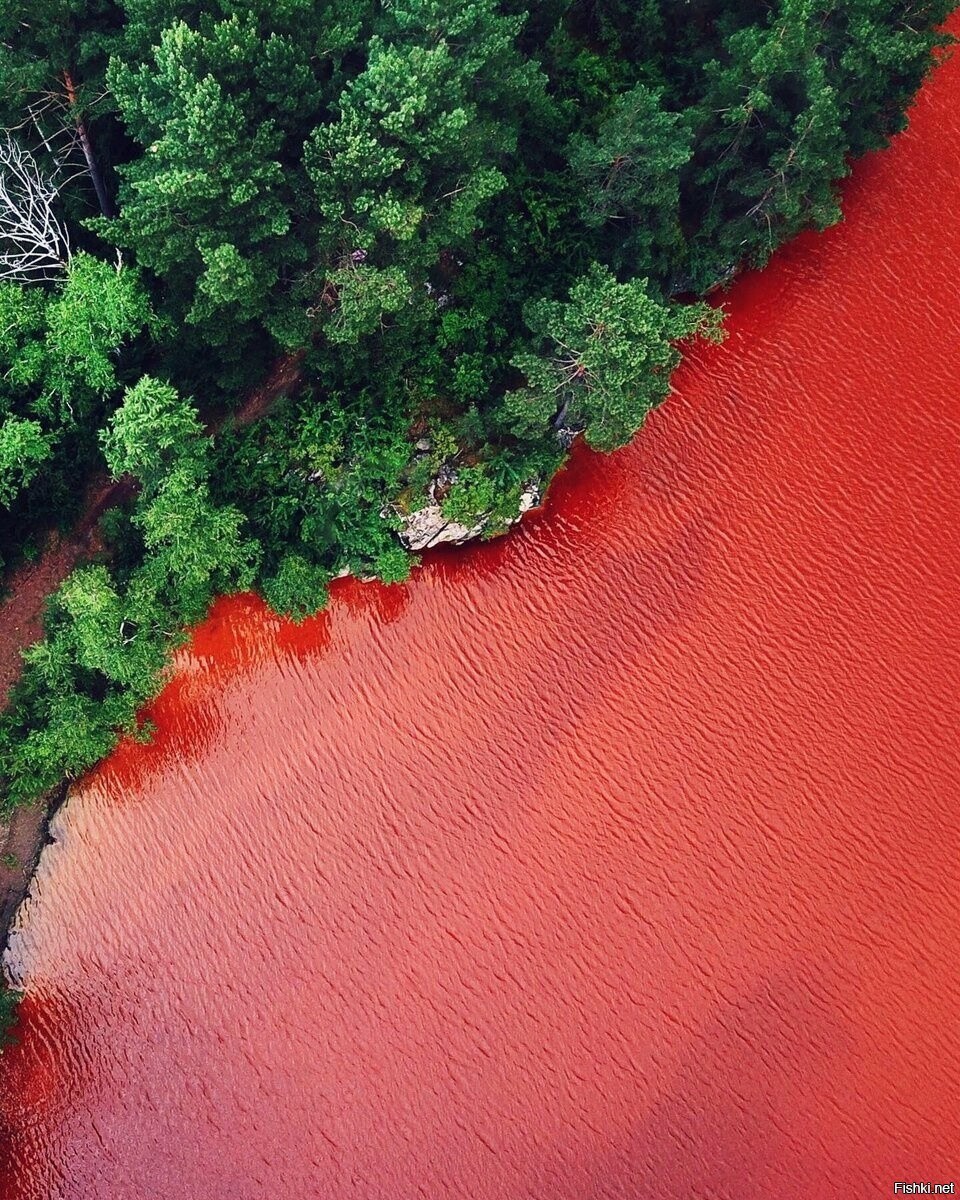 Красное озеро Хакасия