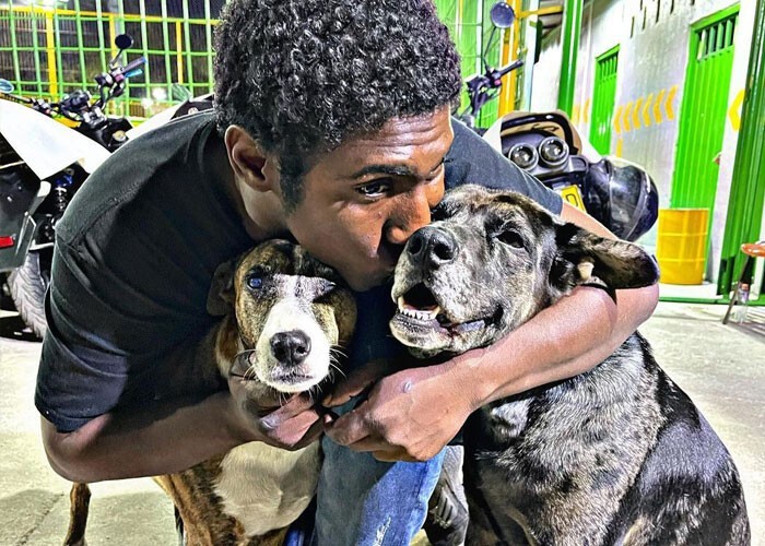 Бездомный мужчина устроил праздник для своих собак - и прославился