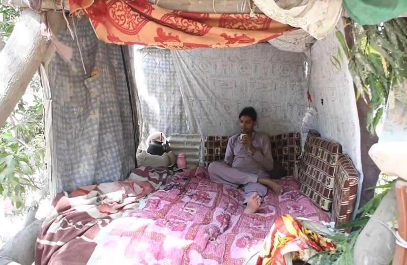 "Тарзан из Карачи": пакистанец 8 лет живёт на дереве