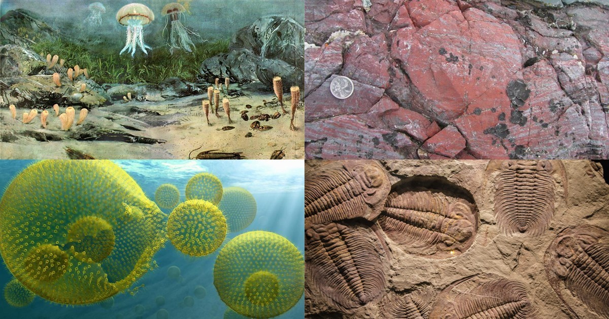 1 живые организмы на земле появились где. Эра протерозой окаменелости. Первые живые организмы на земле. Самые первые живые организмы на земле.