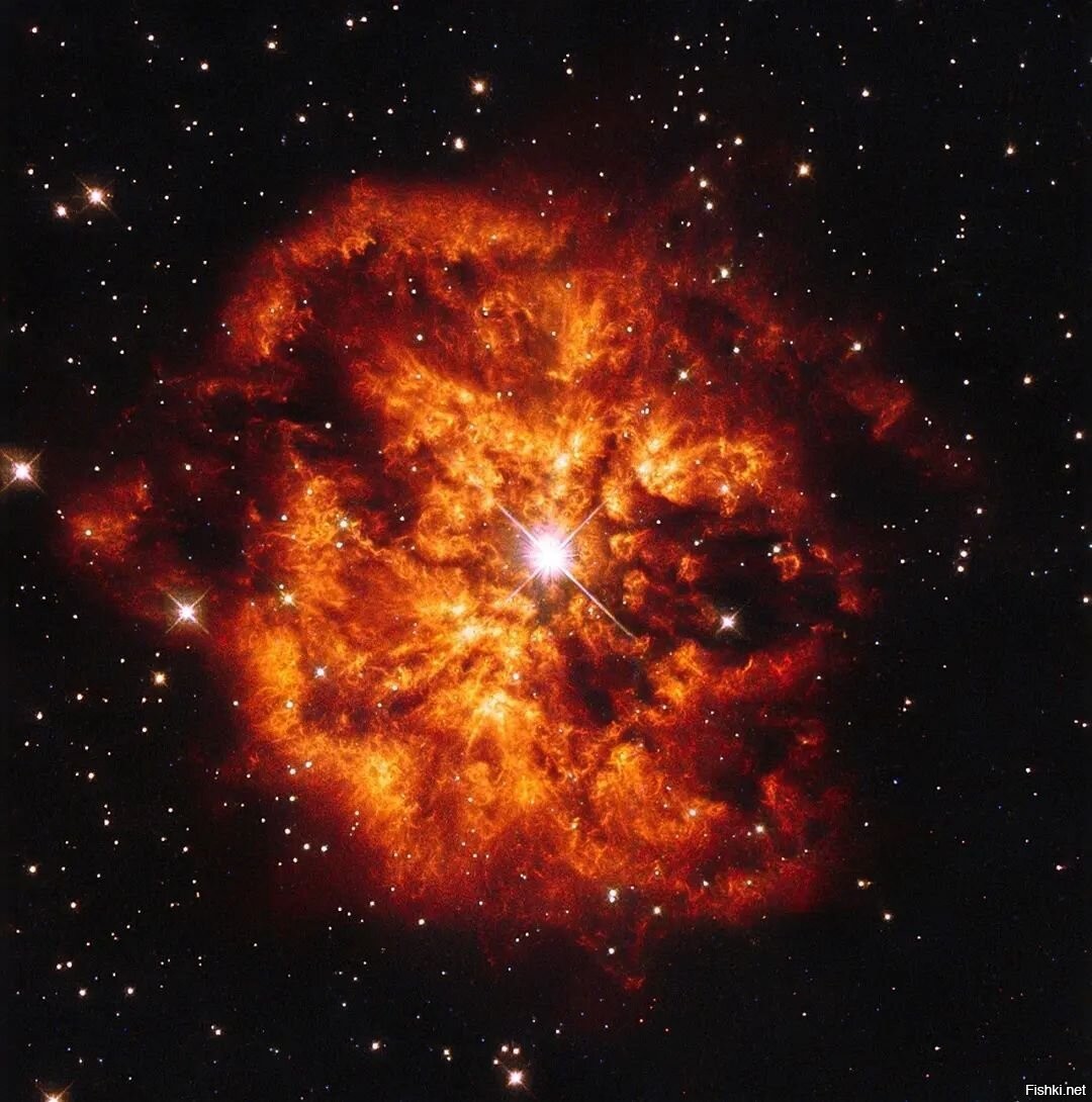 Звезда WR 124 освещает ярко-оранжевую туманность 