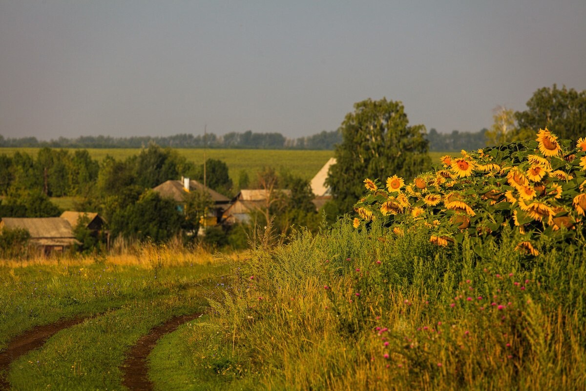 Белгород природа деревня