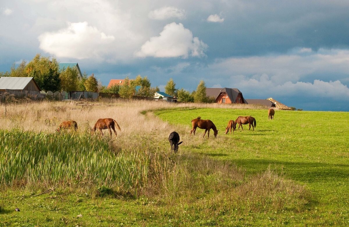 Фотографии Природы Деревни