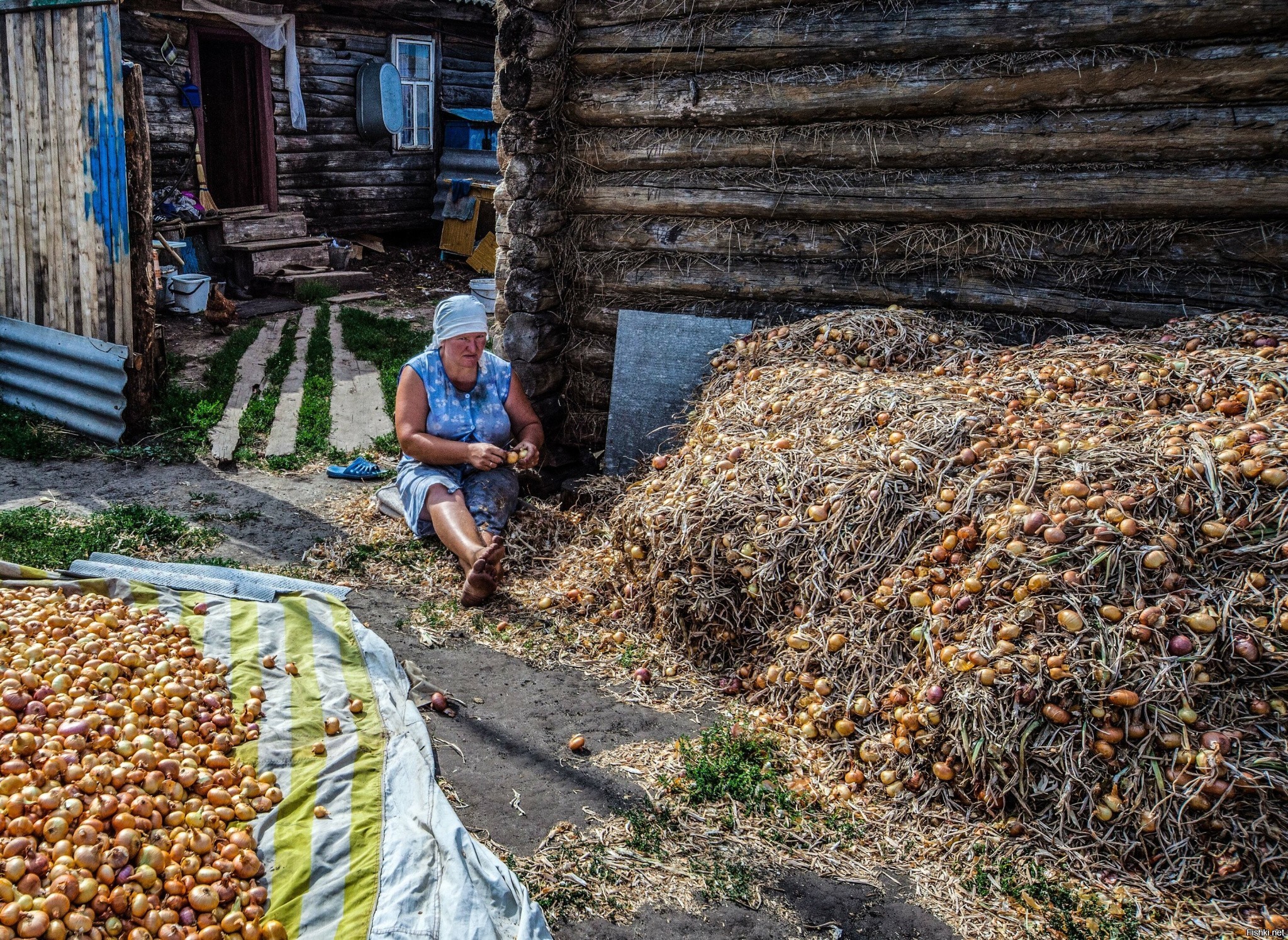 Канал деревенские будни. Деревенские будни. Сельские кахбушки. Важные вопросы сельских будней. Скрыто сельские.