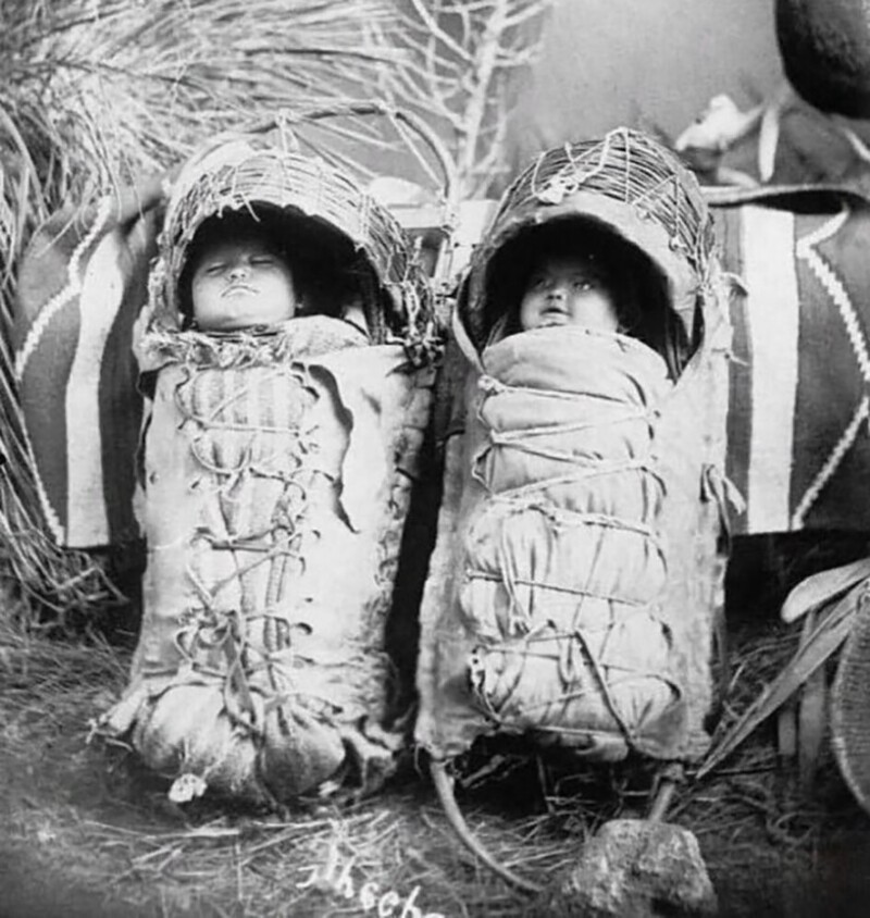 Младенцы из племени североамериканских индейцев aпaчи, 1888 год