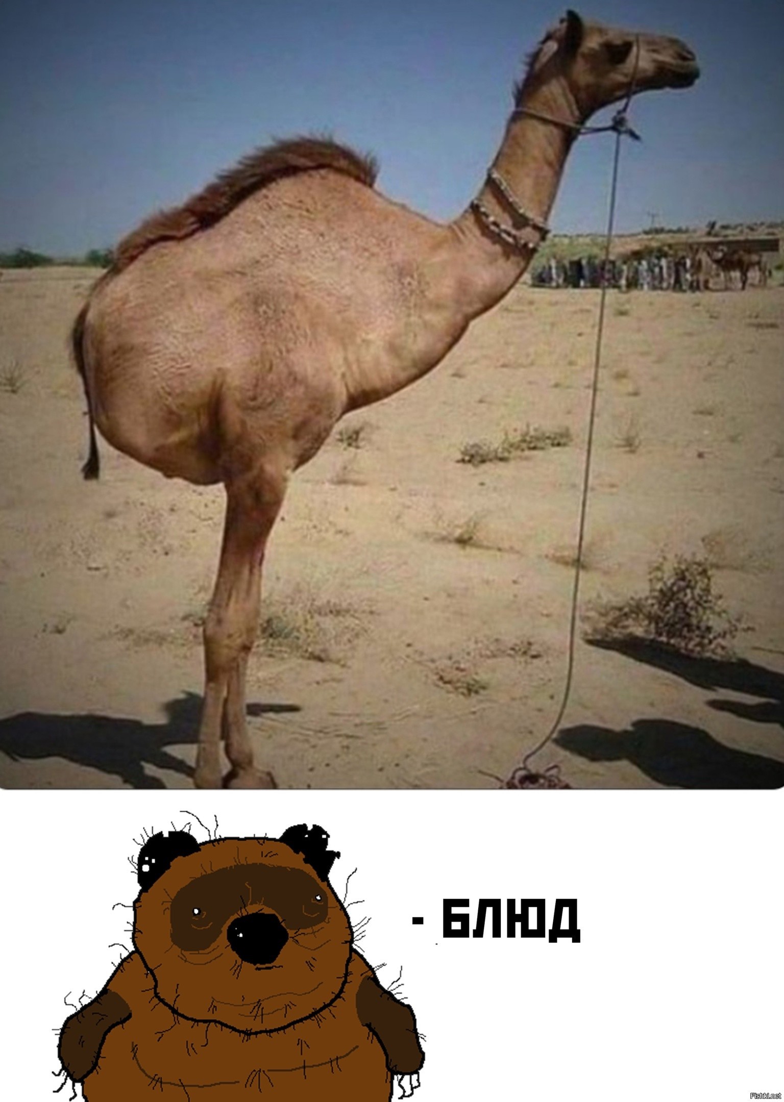 Топ Шутки 2024