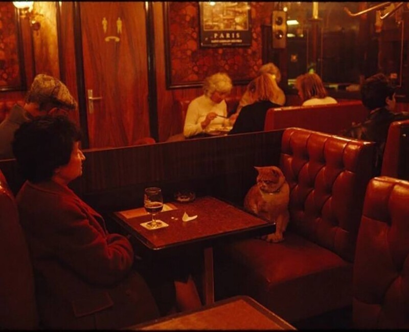 Вечер сильной и независимой, Ресторан в Париже, 1988 год