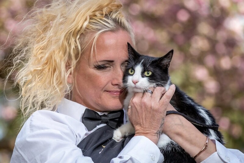Женщина вышла замуж за кота, чтобы спасти его от выселения