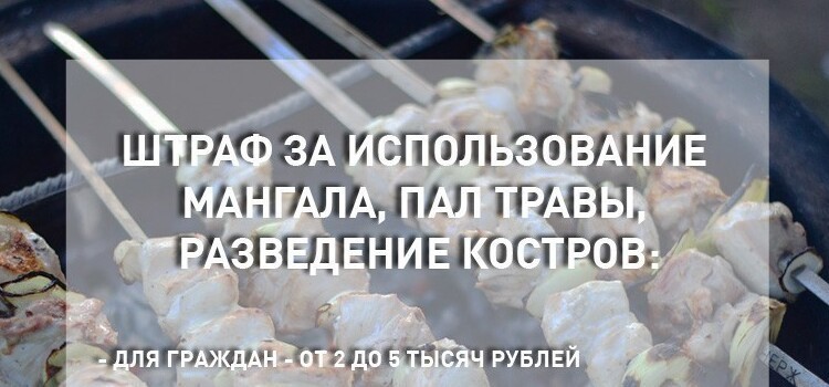 Россиян предупредили, что за приготовление шашлыков в неположенном месте предусмотрены штрафы