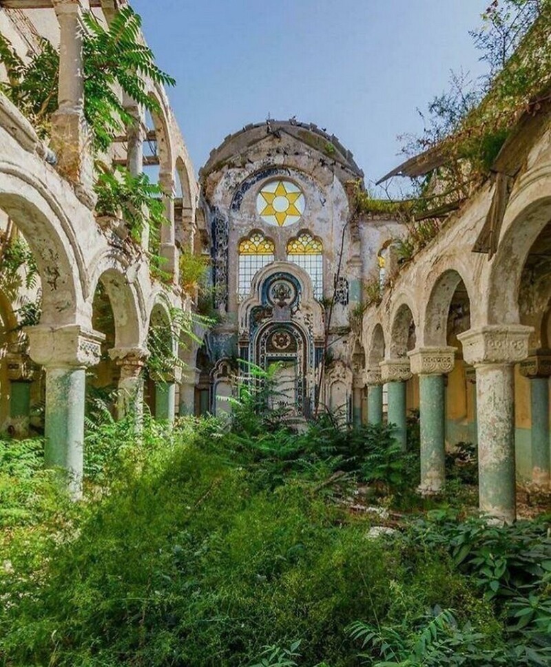Заброшенная синагога, ставшая храмом природы