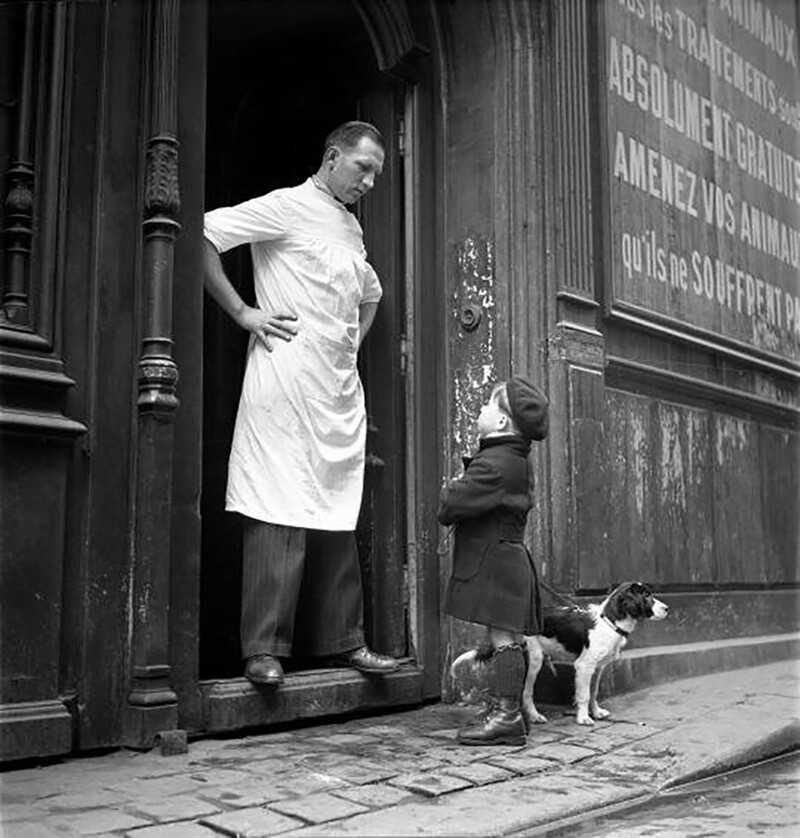 Первая ветеринарная клиника в Париже. 1952 год