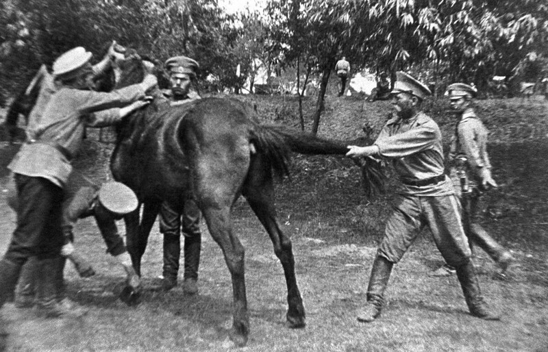 Казаки 2-го Оренбургского полка казачьего воеводы Нагого подковывают лошадь. Россия, 1914 год