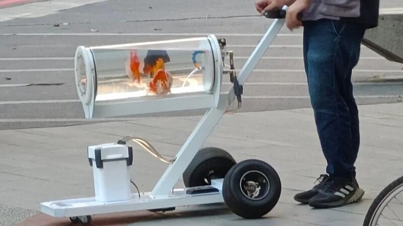 Блогер своими руками смастерил аквариум на колёсах