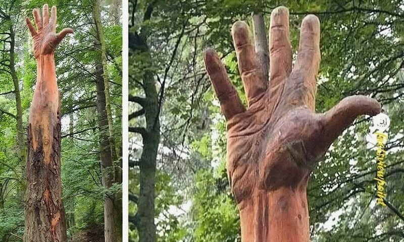 Художник вырезал руку из повреждённого ураганом дерева