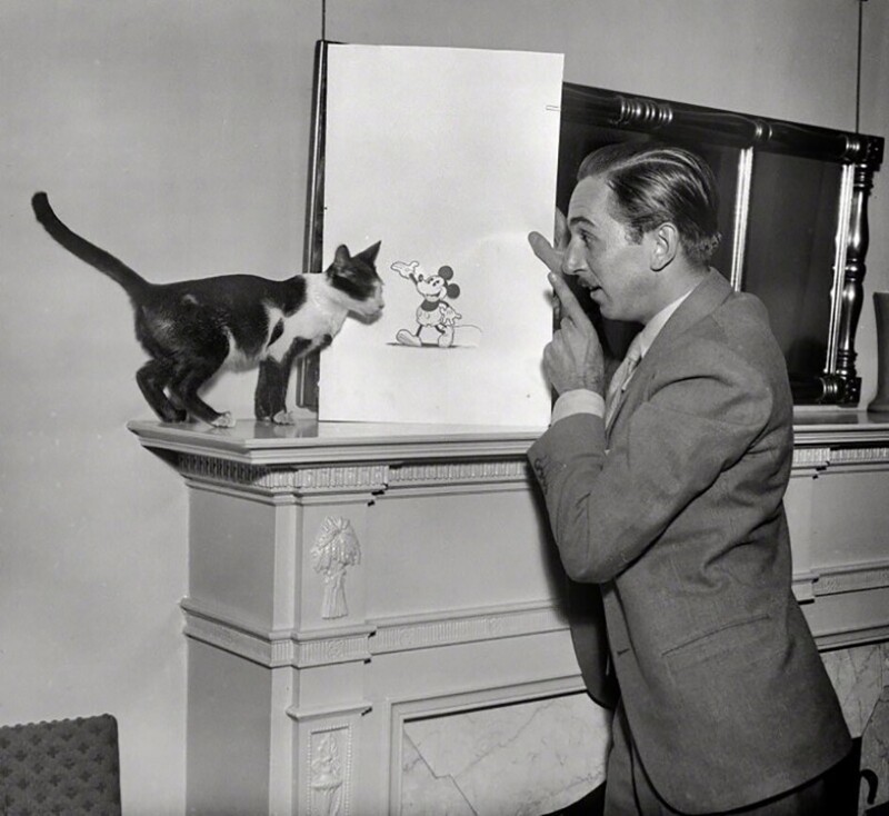 Кошка, Мышь, Дисней. 1931 год