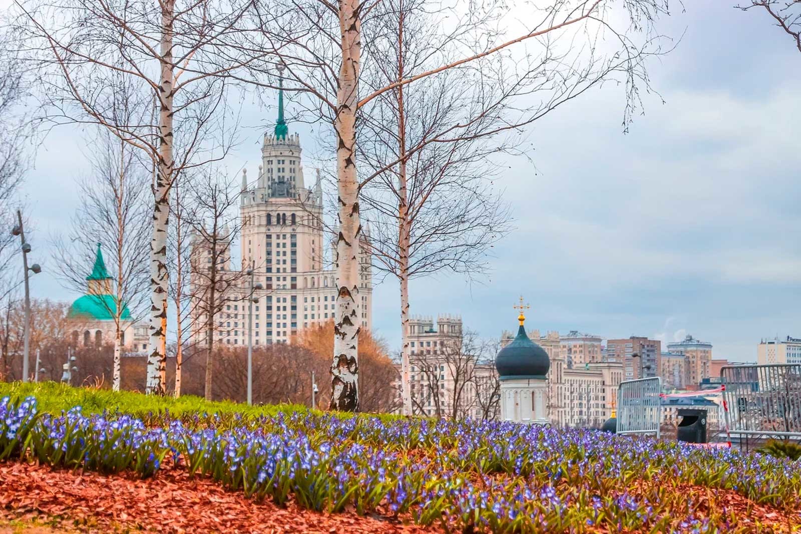 Что сейчас цветет в москве фото