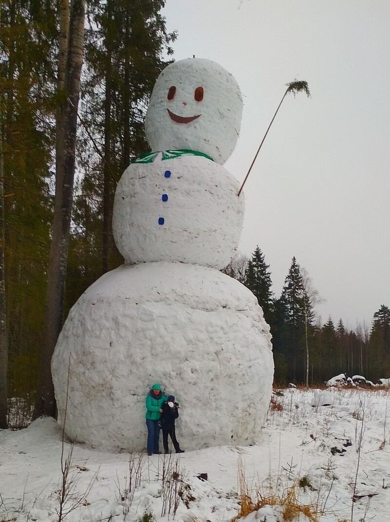 Этого снеговика строил весь посёлок