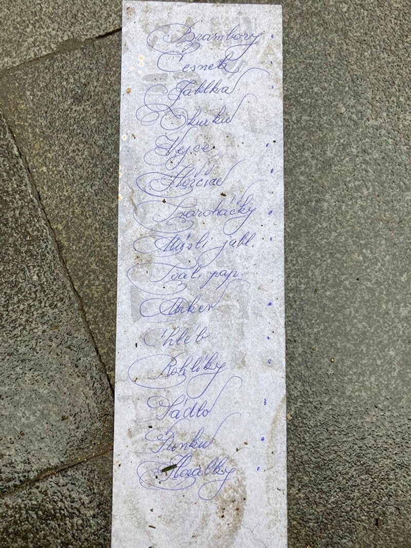 "Этот список я нашел на улице в Праге. Хотелось бы увидеть того, кто его составил!"