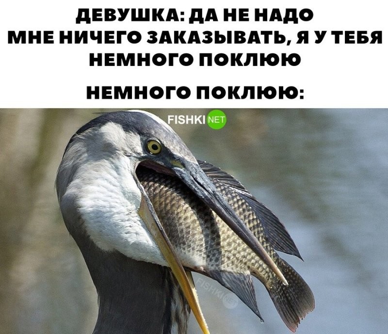 Классика 