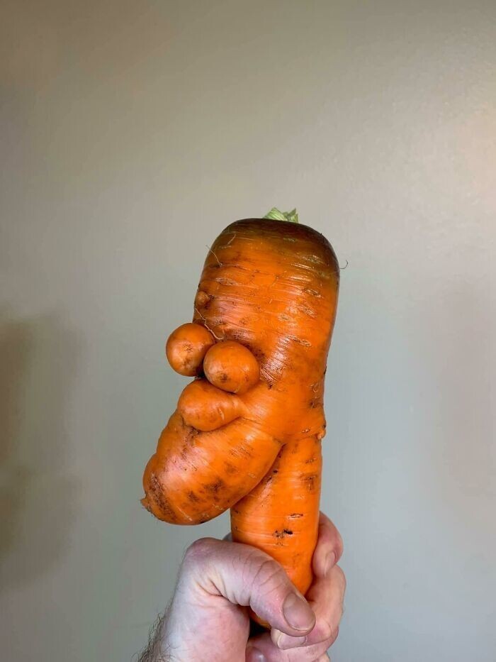 11. Старичок-морковичок
