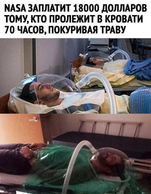 Смешные и познавательные картинки