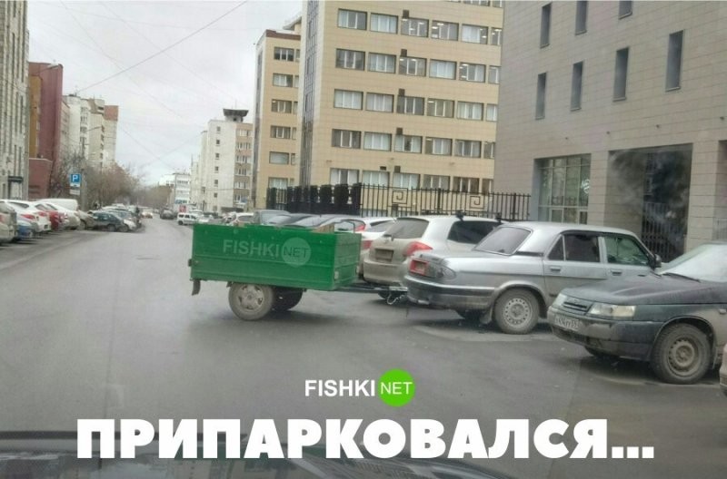 Смешные и познавательные картинки