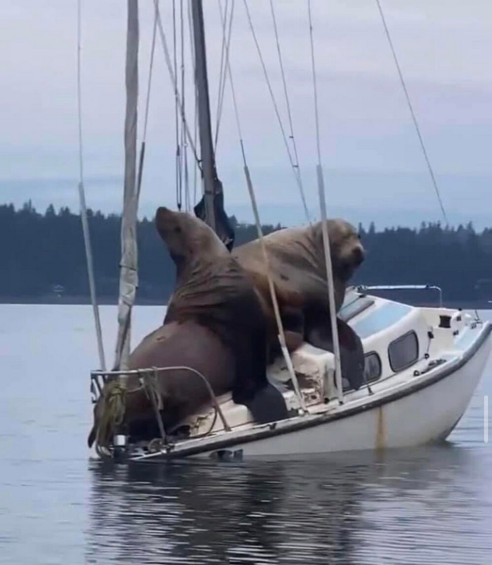 Фотоподборка от Димон за 05 мая 2022