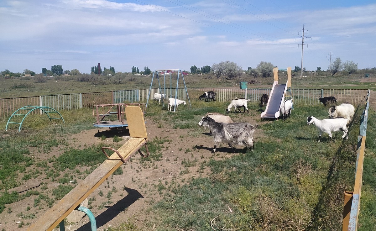 Фотоподборка от Димон за 05 мая 2022