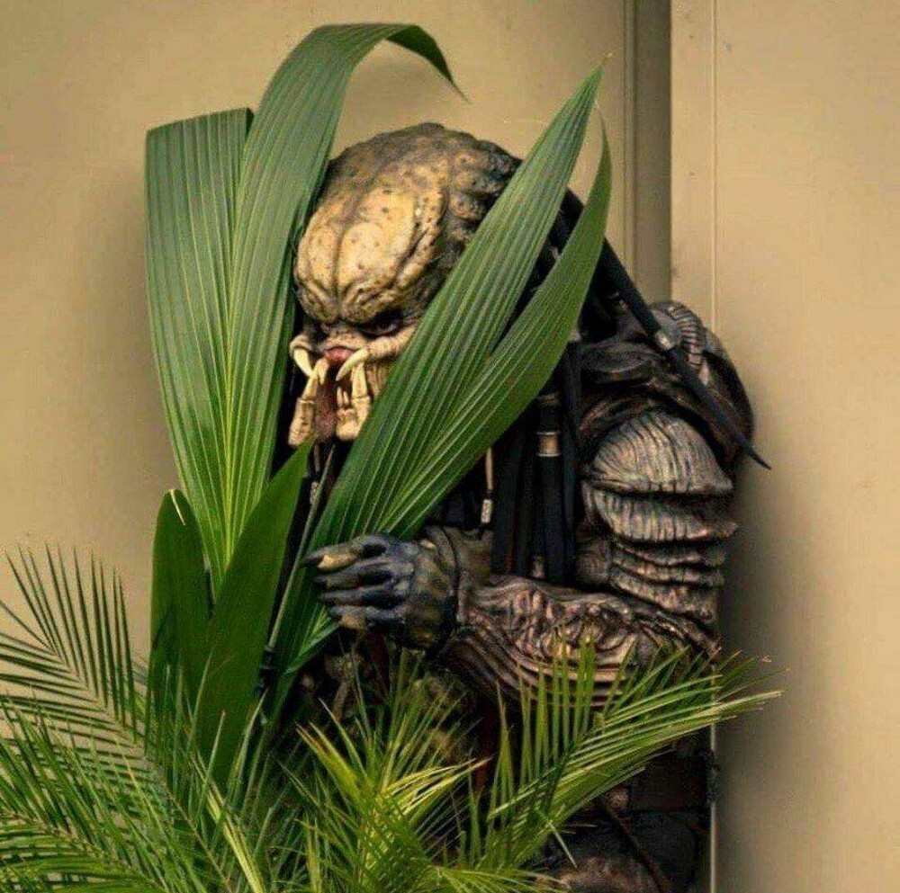 Фотоподборка от Димон за 05 мая 2022