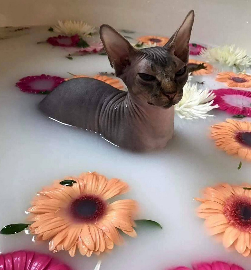 Фотоподборка от Димон за 05 мая 2022