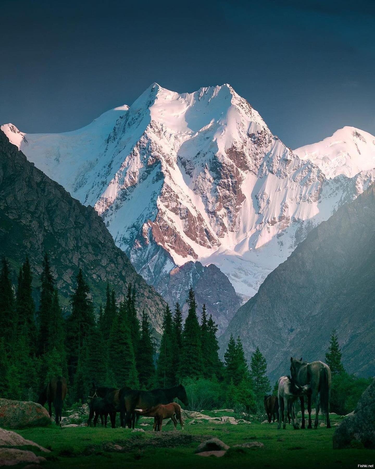 Victory Peak (Kyrgyzstan)