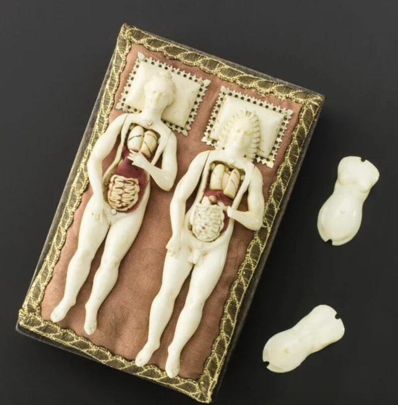 8. Мужские и женские фигурки из слоновой кости с открытыми внутренними органами - 1600 год