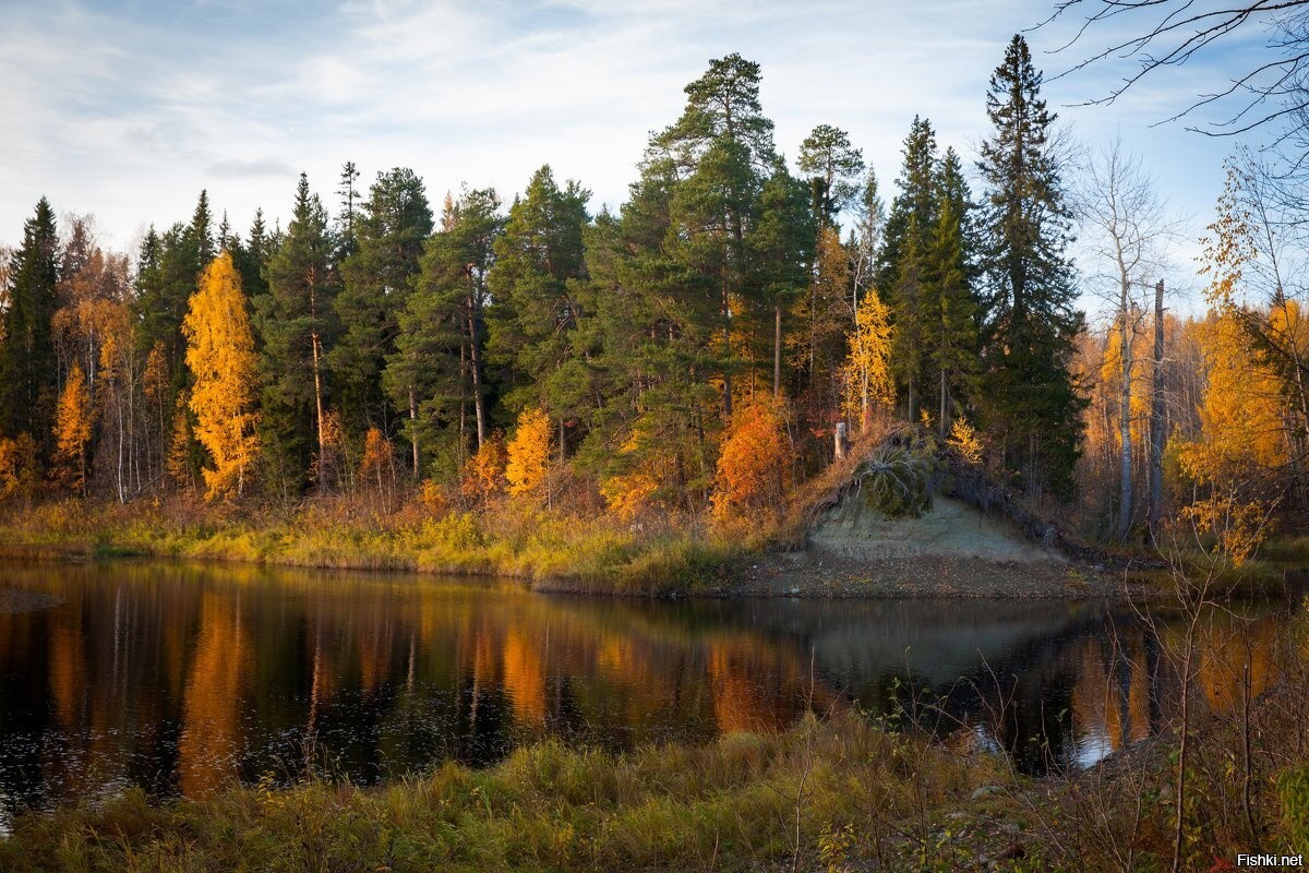 Поселок солза фото