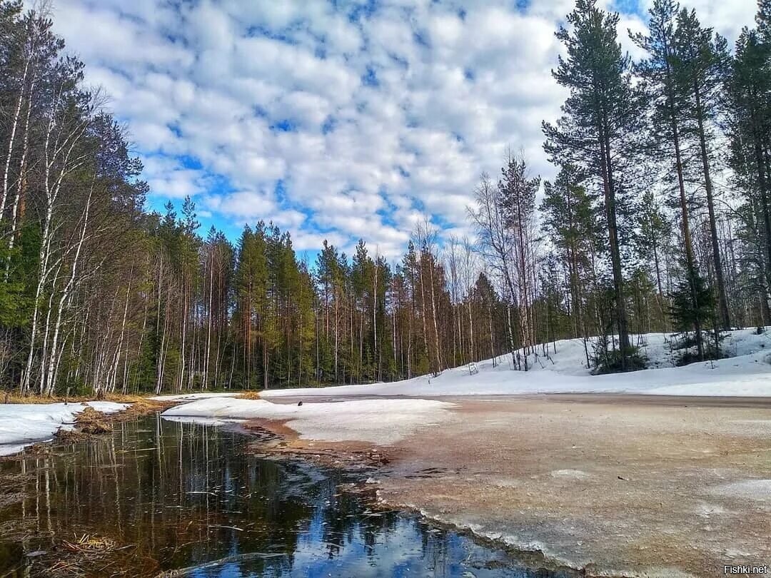 Весна на севере фото