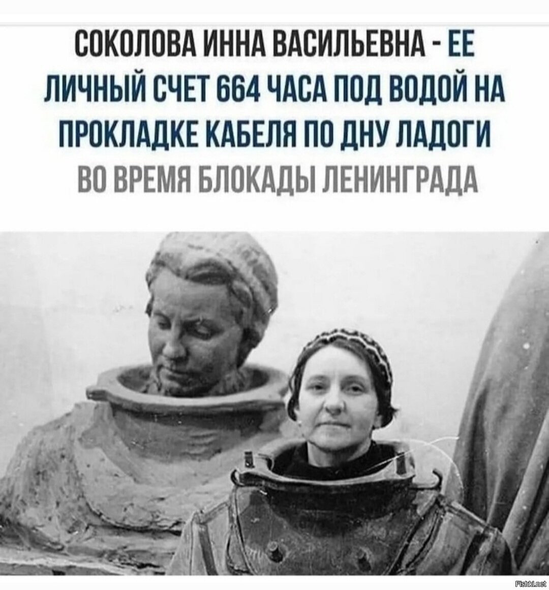 Лента друзей м ю соколова