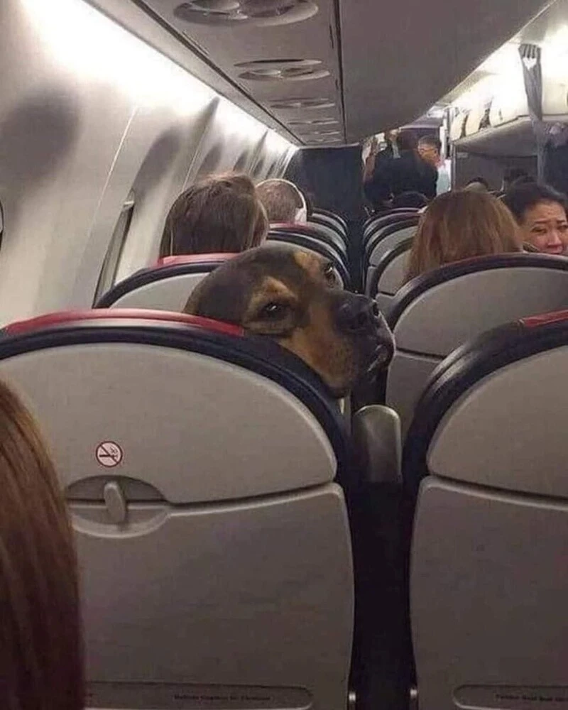 11c87b41d9ca1b66f2b46fa54cabbf53.jpg.web