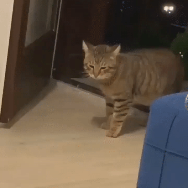 Со спины напал