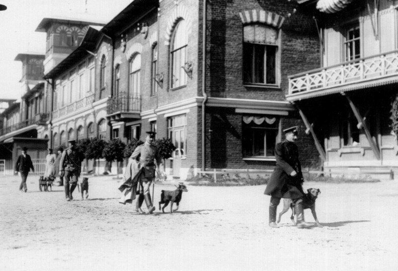  Смотр собак на Коломяжском ипподроме. 1900–1914 гг.