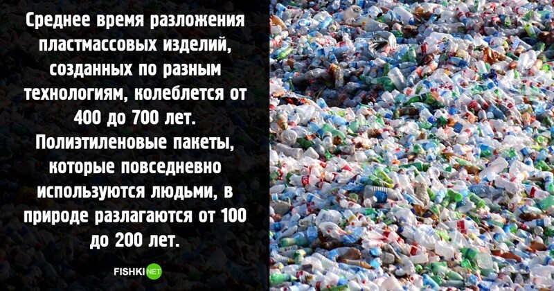 Жутковатые факты о пластиковом мусоре