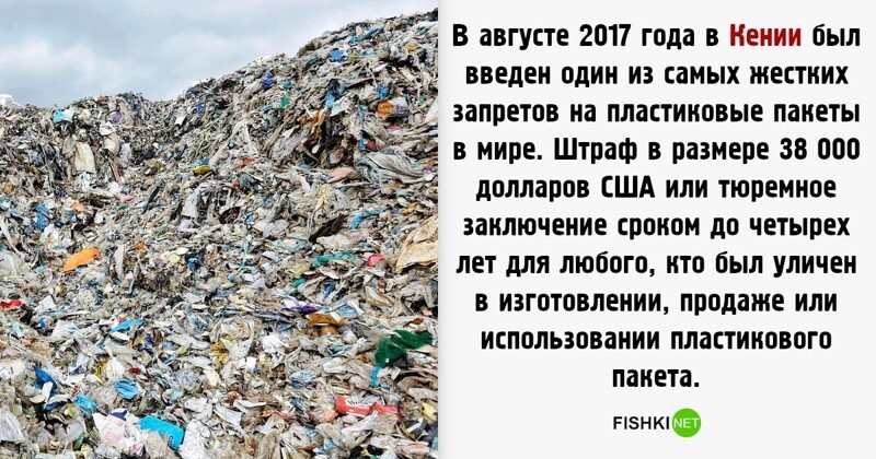 Жутковатые факты о пластиковом мусоре