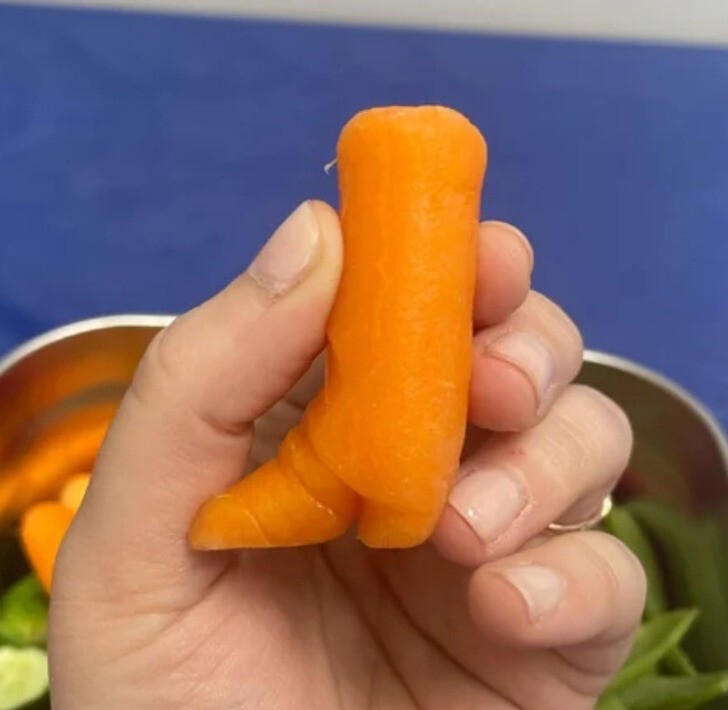 "Сегодня встретилась морковка в форме ковбойского сапога"