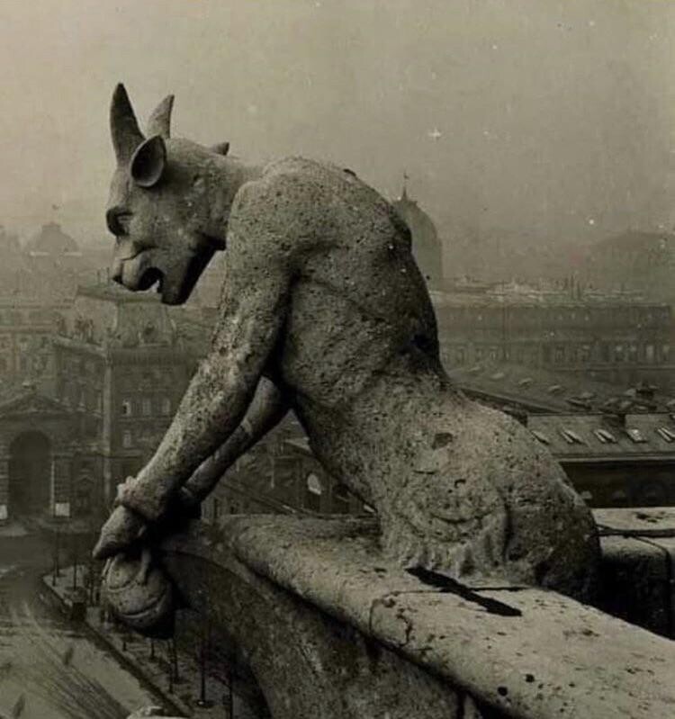 Горгулья Нотр-Дам с видом на Париж, 1910