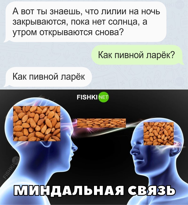 Миндальная связь картинка