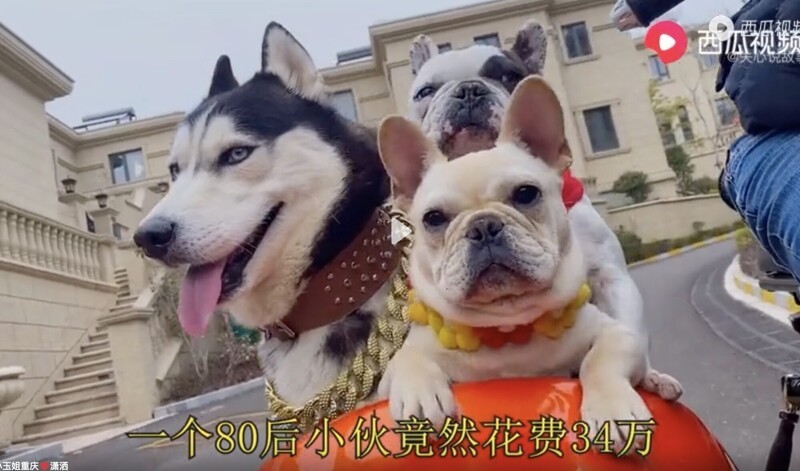 Бизнесмен из Китая возвёл особняк для своих собак