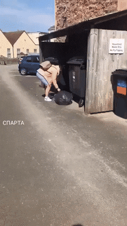 Гифки Гифки