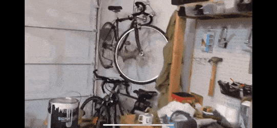 Звериные гифки