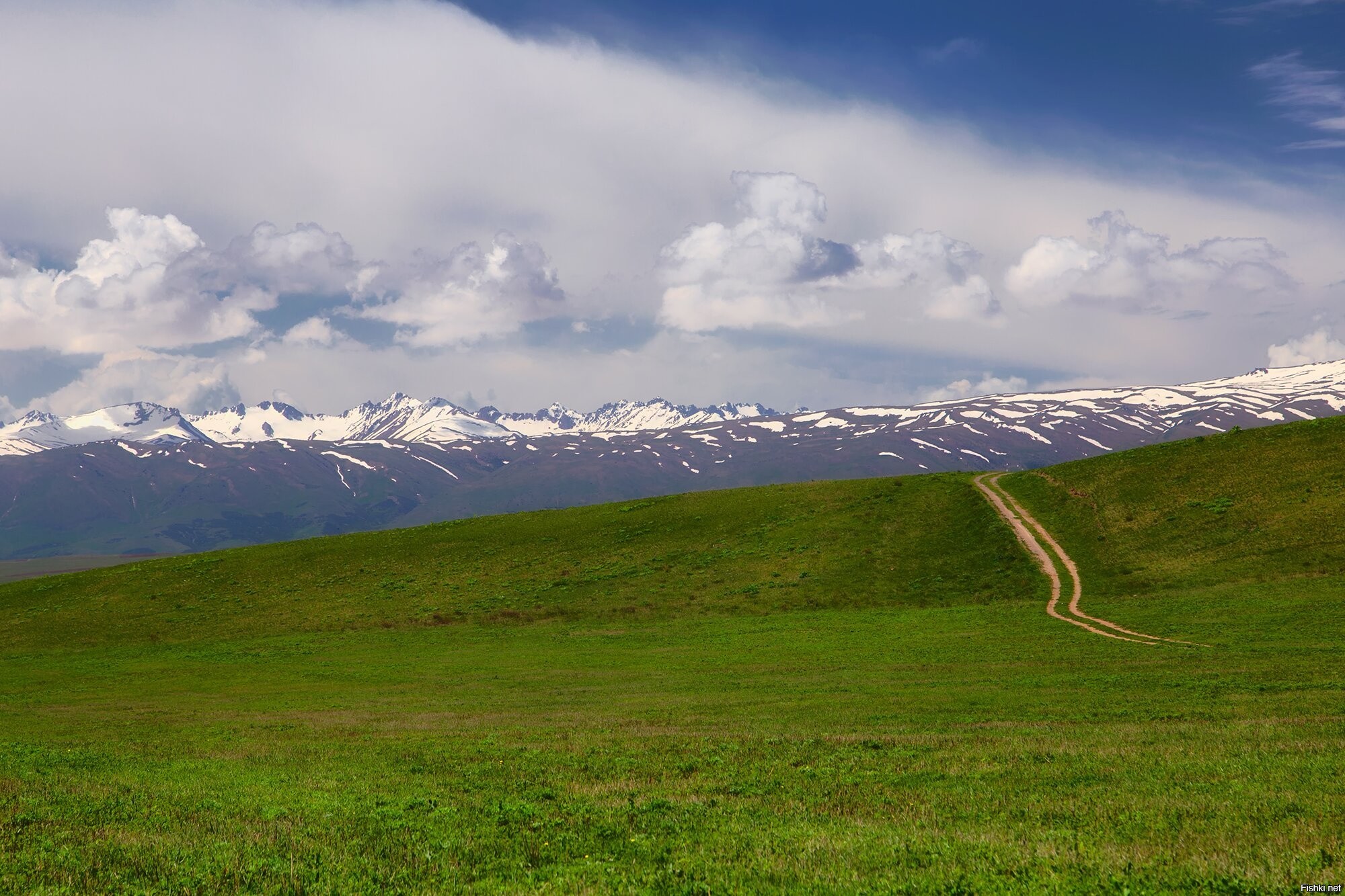 Грузия киргизия